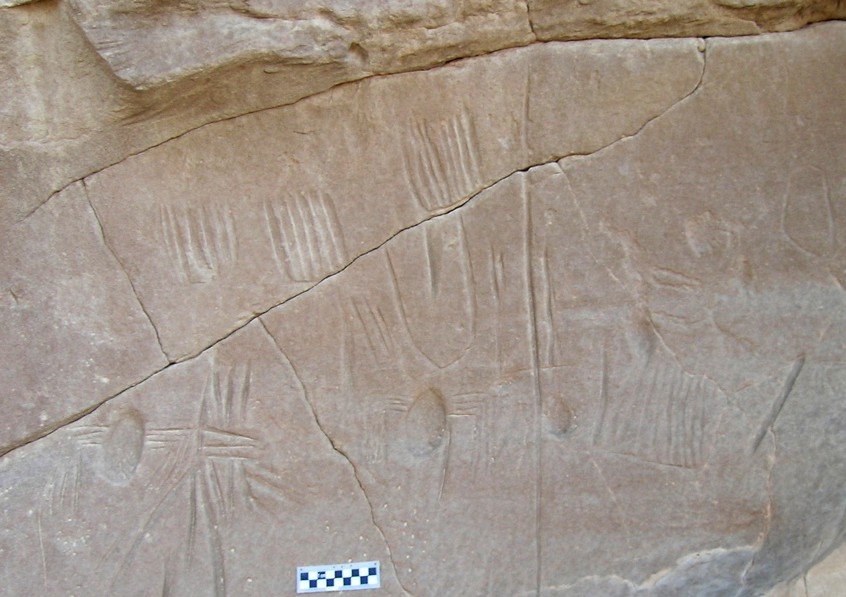 Arañas rupestres en Jarga, Egipto